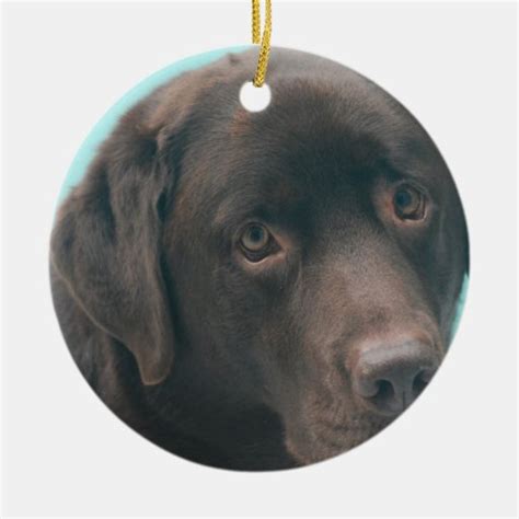 Chocolate Lab Dog Ornaments | Zazzle