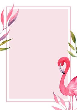 Pink Flamingo Border Images – Browse 3,013 Stock Photos, Vectors, and ...