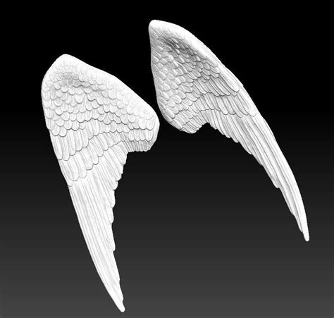 3D printable model angel bird pair wings | CGTrader