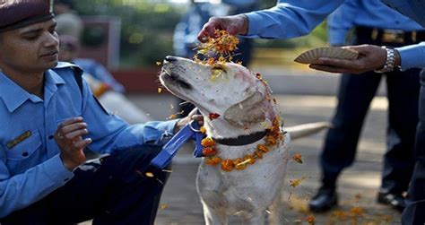 In Nepal, Every Dog Has Its Day. Literally.