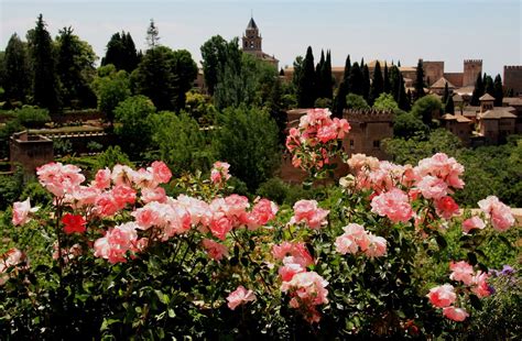 Flowers of Alhambra Gardens Granada- a Photo Essay - i Share