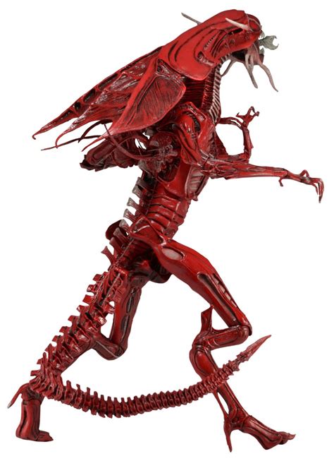 Closer Look: Aliens Genocide Red Queen Mother Ultra Deluxe Action Figure! – NECAOnline.com