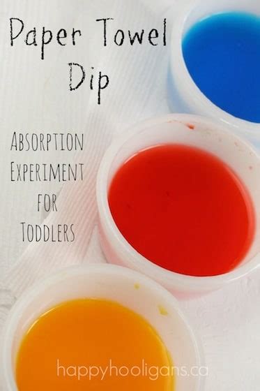 Water Absorption Experiment for Preschoolers - "Paper Towel Dip"