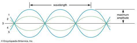 Transverse wave | Definition, Characteristics, Examples, Diagram ...