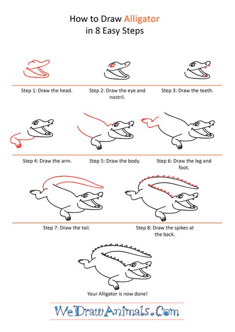 How to Draw a Cartoon Alligator