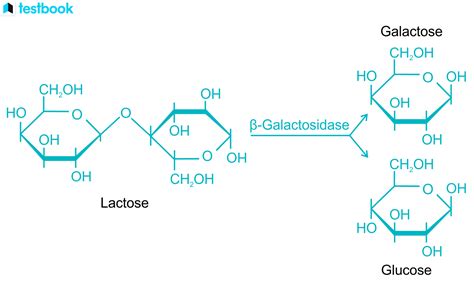 Galactose Chemical Structure