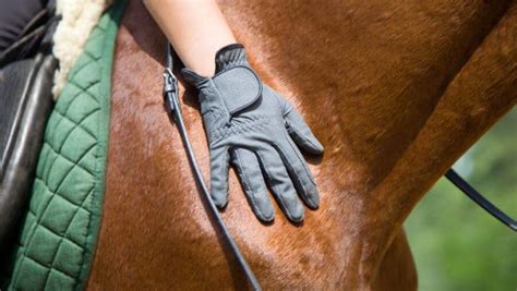 Best Horse Riding Gloves – Equine Ridge