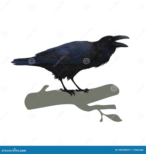 Realistic Raven Sitting and Cawing. Colorful Vector Illustration of ...