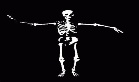 Skeleton Dancing GIF - Skeleton Dancing Animation - Discover & Share GIFs