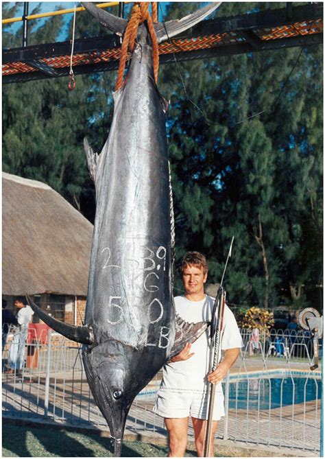 Black marlin spearfishing record, IBSRC