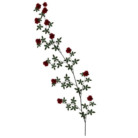 Rose Vine Clipart Transparent HQ PNG Download | FreePNGImg