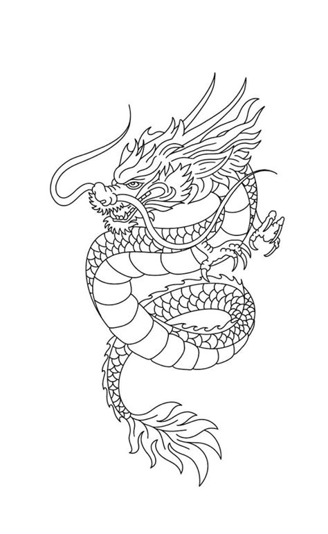 Dragon Tattoo Outline | Dragon tattoo stencil, Dragon tattoo outline, Dragon tattoo drawing