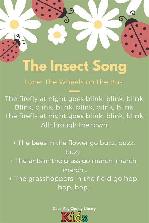 First Class Insect Songs Preschool Opposites Theme