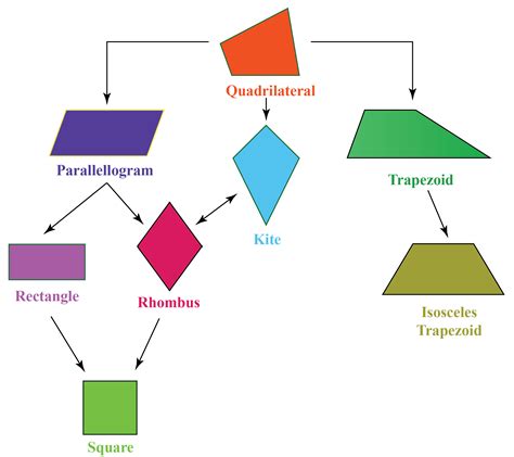 Quadrilateral Definition Properties Types Formulas Notes | The Best ...