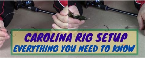 Carolina Rig Setup | Everything You Need to Know For Bass Fishing