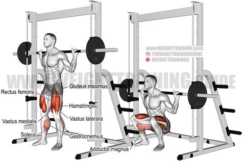 Smith machine squat instructions and video | Weight Training Guide