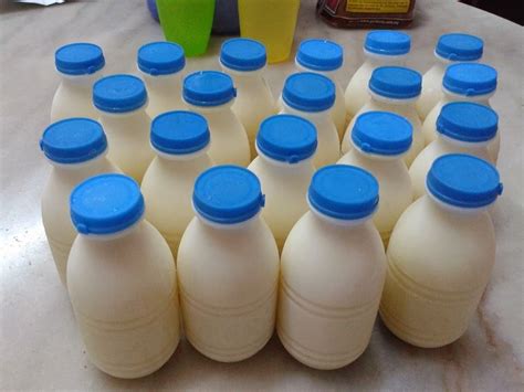 SUSU KAMBING SUSU TERBAIK SELEPAS SUSU IBU | Mamasaufee