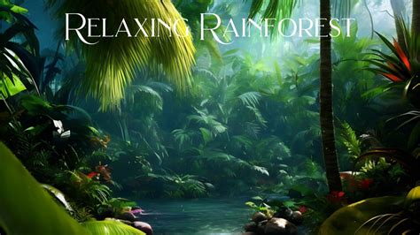 Relaxing Rainforest, Rainforest Sounds, Amazon Rainforest, Jungle Sounds