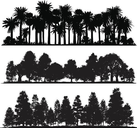 8,300+ Palm Tree Tree Tropical Climate Silhouette Illustrations, Royalty-Free Vector Graphics ...