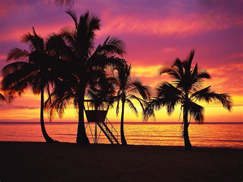 Free download Silhouettes at Sunset Oahu Hawaii [1600x1200] for your ...