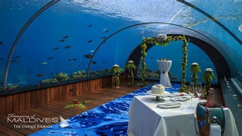 The Underwater Restaurant at Hurawalhi Maldives. The 5.8