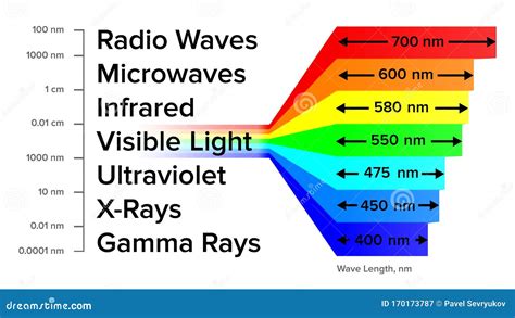 Electromagnetic Spectrum Information Gamma Rays Scheme Vector Stock ...