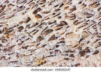 13,746 Pegmatite Images, Stock Photos & Vectors | Shutterstock