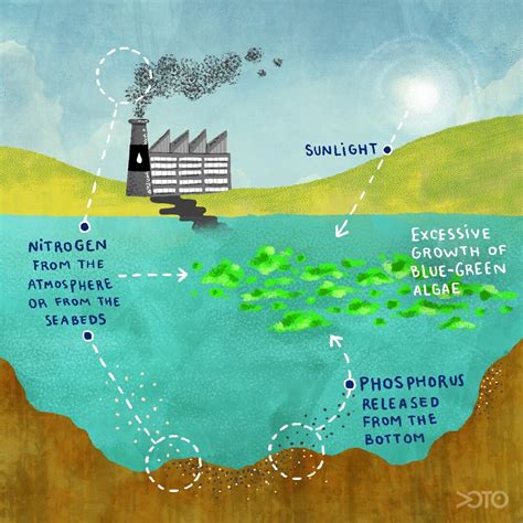 Eutrophication