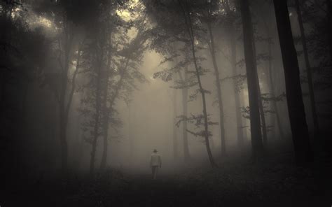 Creepy Forest Wallpaper - WallpaperSafari