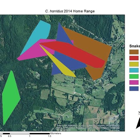 Home range maps for timber rattlesnakes (Crotalus horridus) in 2014. | Download Scientific Diagram