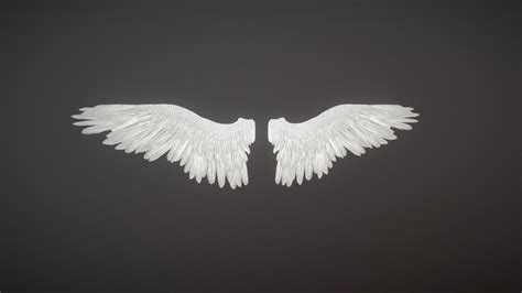 Angel or bird wings - Buy Royalty Free 3D model by rolffimages [fddf0fa] - Sketchfab Store