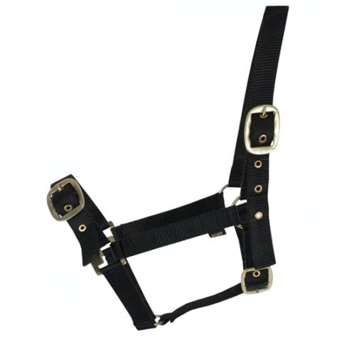 Horse Nylon Headcollar - Fully Adjustable