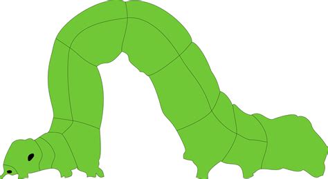 Clipart - Inchworm