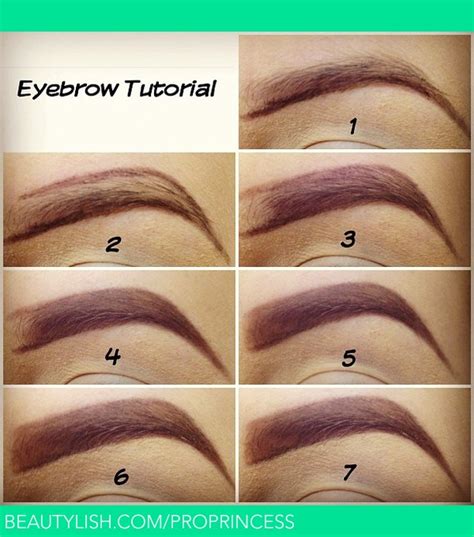 Eyebrow Tutorial | Laura K.'s (lauracarmen) Photo | Beautylish