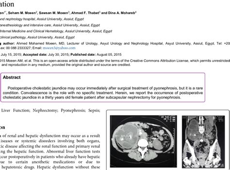 a and 1b: CT scanning showing RT Pyonephrosis with multiple stones and ...