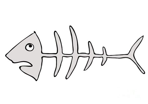 Fish skeleton - fishbones Drawing by Michal Boubin - Pixels