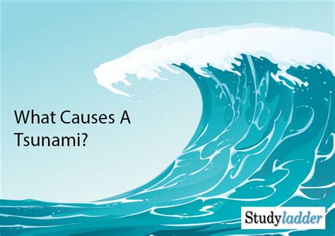 What Causes A Tsunami? - Studyladder Interactive Learning Games