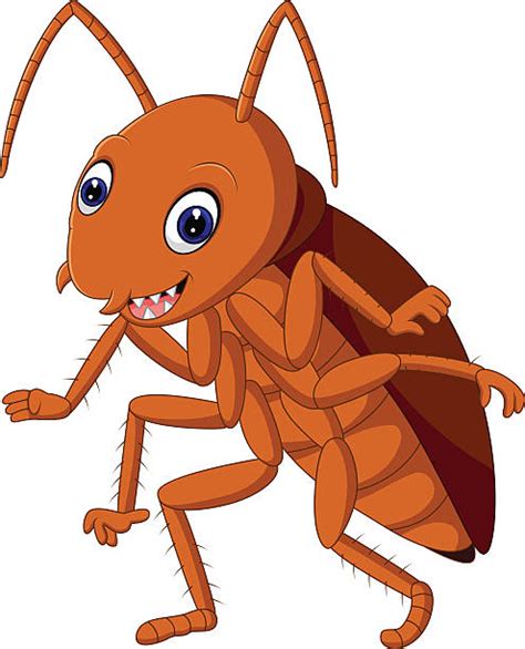 Cockroach Clipart | Free download on ClipArtMag