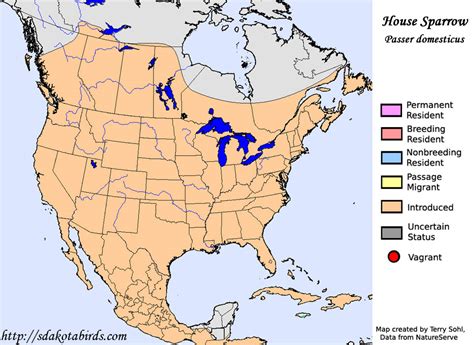 House Sparrow - Species Range Map