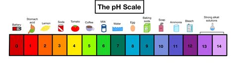 Ph Scale Examples