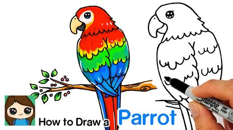 How to Draw a Parrot