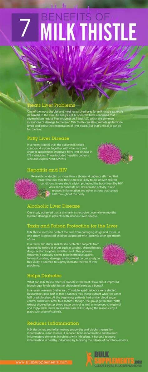 Milk Thistle: Benefits, Dosage & Side Effects