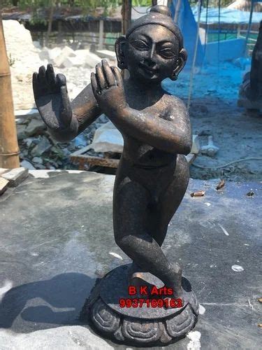 Lord Krishna Black Stone Statues, Home at Rs 8000 in Soro | ID ...