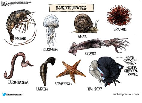 Invertebrates – Issues & Insights