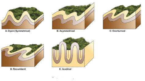 Types of folds - INSIGHTS IAS - Simplifying UPSC IAS Exam Preparation