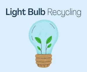 How to Recycle And Dispose of Light Bulbs | Whole People