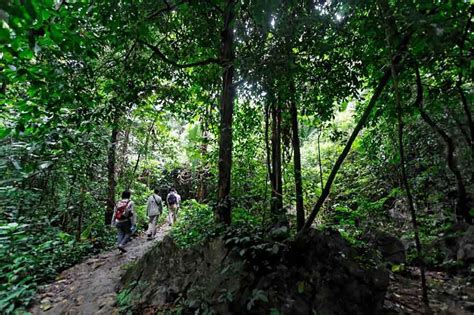 Cuc Phuong National Park Day Trip - Cuc Phuong Day Tour from Hanoi