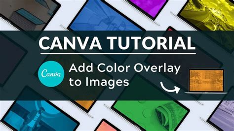 How to Add a Color Overlay to Images in Canva - Blogging Guide