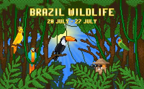 Feel the true power of Jungles with our special Brazil Weekly Offers! — RollerCoin Blog