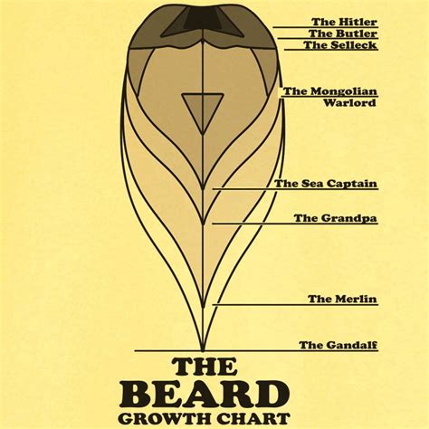 Facial Hair Growth Chart